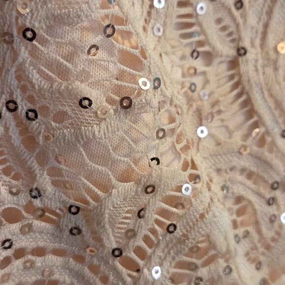 Tiana B. Peach Lace Sequin Dress (Plus Size 20W) + Elegant Party Dress - Picture 2 of 3